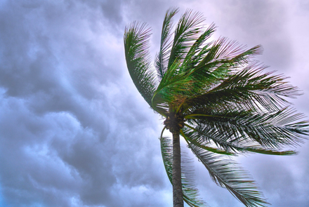 Staying Safe in a Tornado: A workers preparedness guide